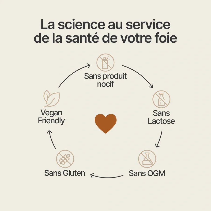 Detox Foie 14 Jours - Happy Detox